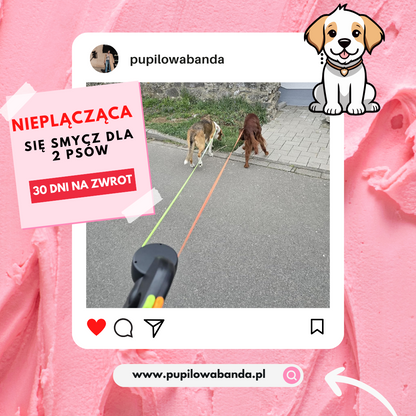 SmyczFLEX PRO 3-w-1 — podwójna smycz + LED + dyspenser